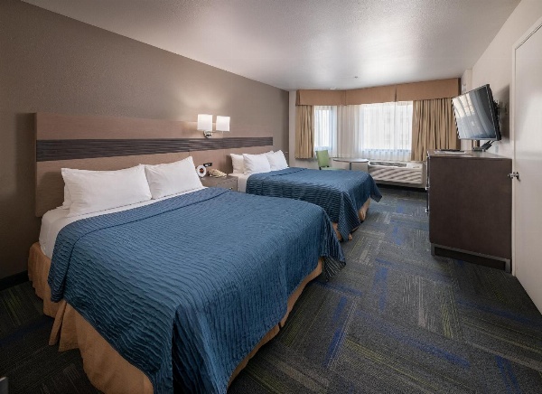 Buena Vista Motor Inn Main image